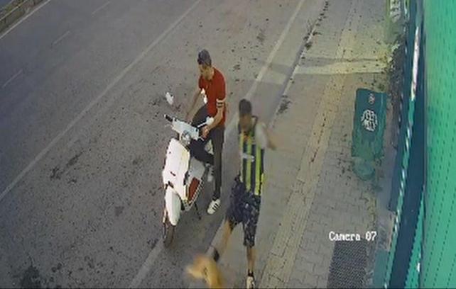 Kediye tekme atan şüpheli yakalandı