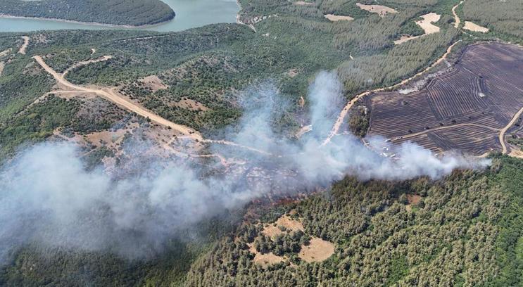 Tekirdağ'da anız yangınında alevler, ormana sıçradı
