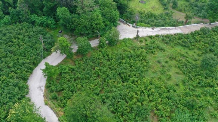 Ordu'da kırsalın çilesi bitiyor: Hanyanı Mahallesi beton yol çalışmalar başladı!