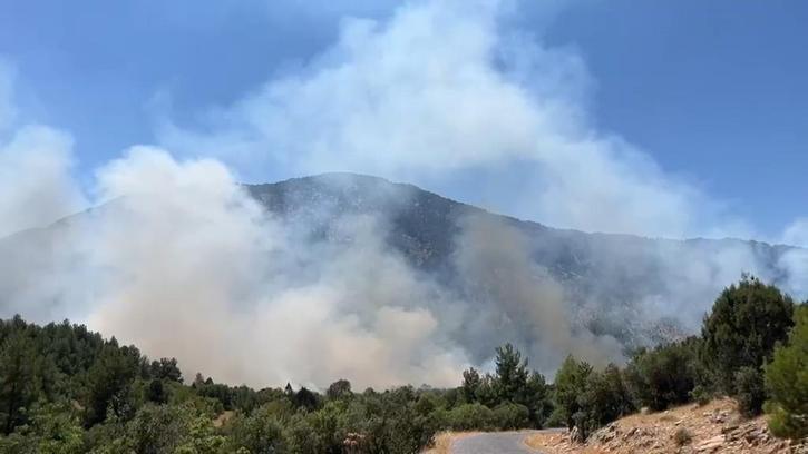 Antalya Akseki'deki orman yangınında 100 hektar alan zarar gördü