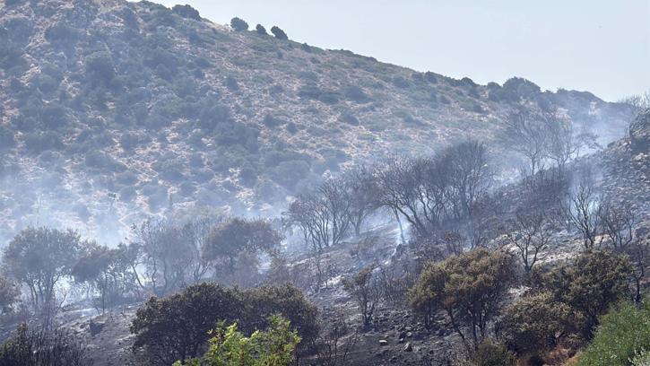 Bodrum'da makilik alanda çıkan yangın kontrol altında
