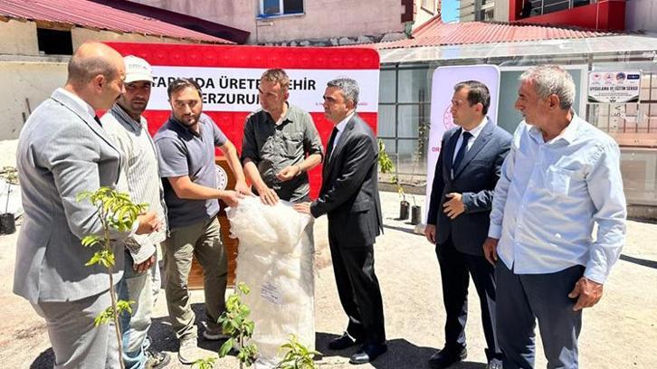 Erzurum'da bin adet meyve fidanı ve sera desteği ücretsiz dağıtıldı!