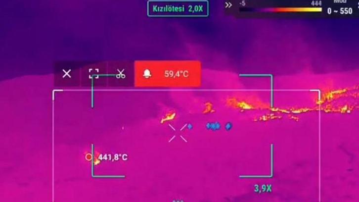 Orman yangınında alevlerin kalbinde sıcaklık 441 dereceye ulaştı