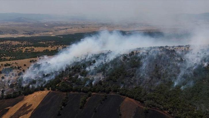 Tarlada çıkan yangın rüzgarın etkisiyle ormana sıçradı