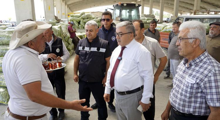 Şuhut'tan günde 500 ton taze fasulye sevkiyatı