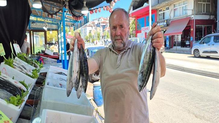 Yasak bitti, balık tezgahları şenlendi: Tanesi 100 liradan satışta!