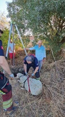 Balıkesir'de kuyuya düşen koyunu itfaiye kurtardı