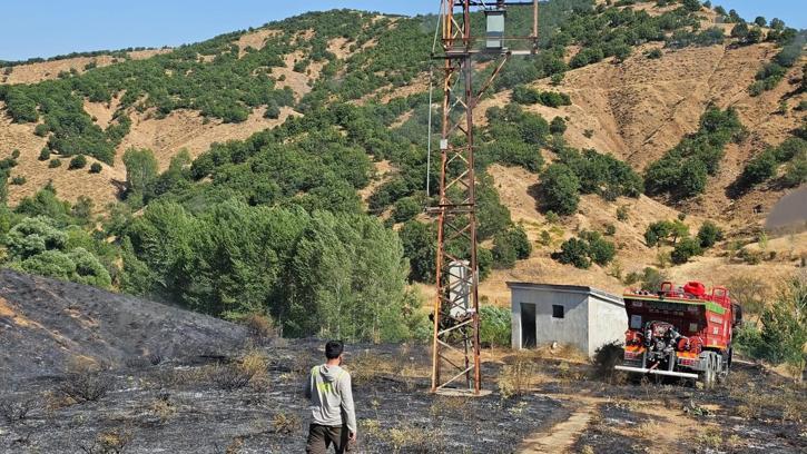 Bingöl’de ormanlık alanda çıkan örtü yangını söndürüldü