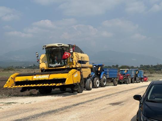 Osmaniye'de 6 farklı çeşit tarlada test edildi! Düziçi'nde yerli ve milli ayçiçeği hasadı başladı