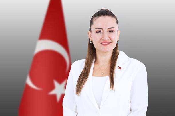 Başkan Vekili Özdemir'den 30 Ağustos mesajı
