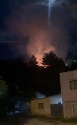 Hatay'da orman yangını büyümeden kontrol altına alındı