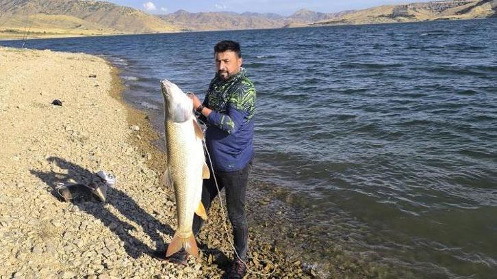 Keban Baraj Gölü’nde 30 kiloluk dev yakalandı