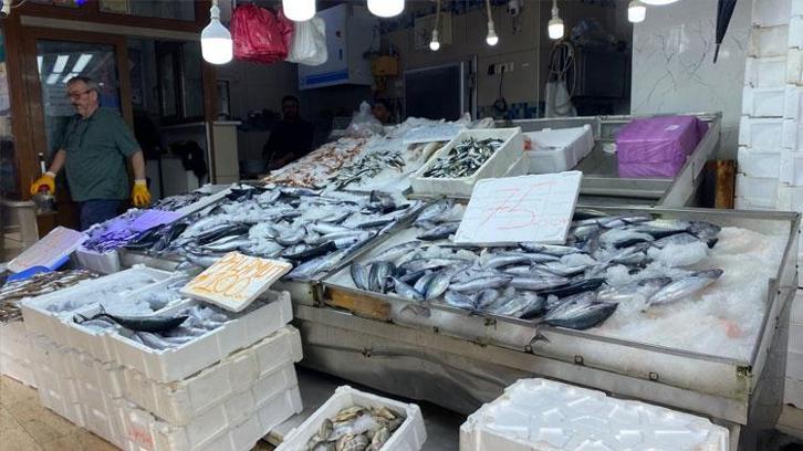 Sinop'ta balıkçılar ‘kestane karası’nı beklemeden tuzluyor