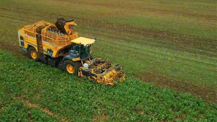 Tekirdağ toprağından rekor çıktı: Tarlada dekar başına tam 10 ton!