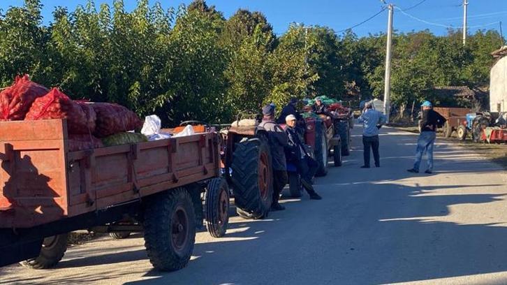 Bilecik'te 100 bin ağaçtan rekor verim! Alıcılar köye akın etti, kilosu 40 TL'den yok satıyor