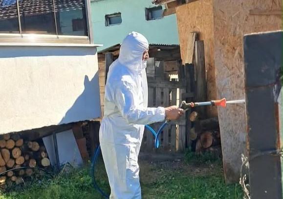 Fındık üreticilerine kahverengi kokarca alarmı! Düzce'de kışlak ilaçlama seferberliği başladı