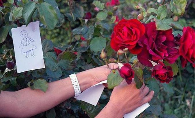 Hıdırellez ne zaman? Hıdırellez ritüelleri nelerdir? Hıdırellez hikayesi