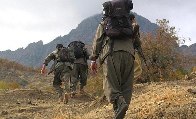 Terör örgütü YPG/PKK bir kız çocuğunu daha kaçırdı