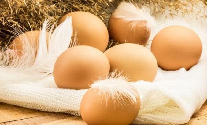 Yumurta fiyatları ile ilgili flaş açıklama! 'KDV sıfırlansın'