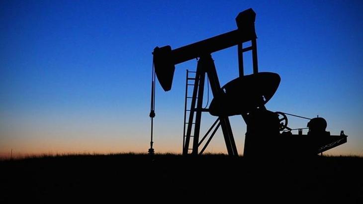 Doğal gaz ve petrol kararı! Türkiye harekete geçti...