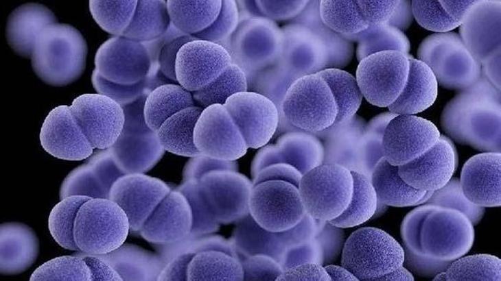 Strep A virüsü nedir, belirtileri nelerdir? Strep Türkiye'de var mı, nasıl bulaşır?