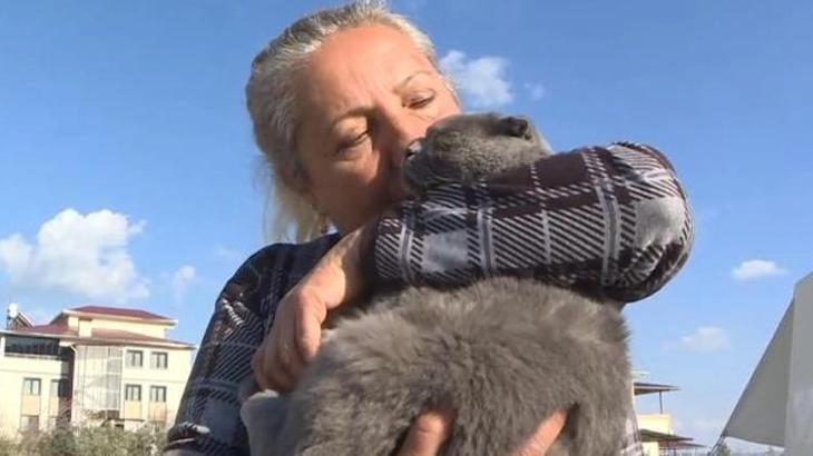 31 gün sonra mucize! Enkaz altından bir kedi sağ kurtarıldı