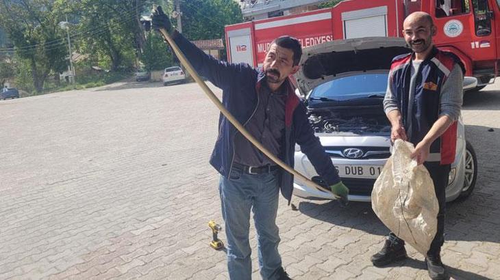 Arabanın motorundan çıkan 2 metrelik yılan hem şaşırttı hem de korkuttu