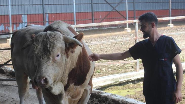 Onu gören şaşırıyor! İkinci el otomobil fiyatına alıcısını bekliyor