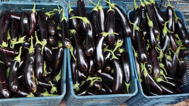 Kilosu 2 lira olan patlıcanın fiyatı market rafında 9’a katladı
