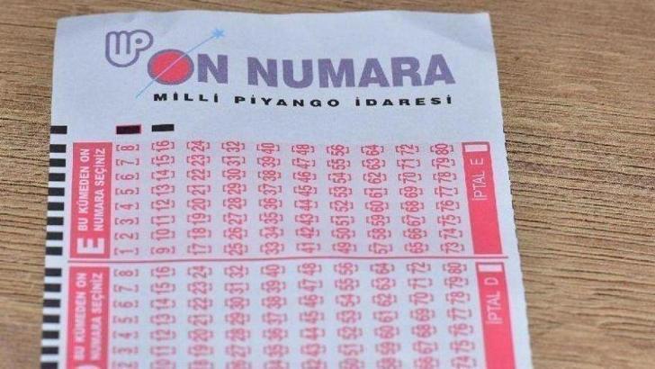 sex vidivodo şişman kedi