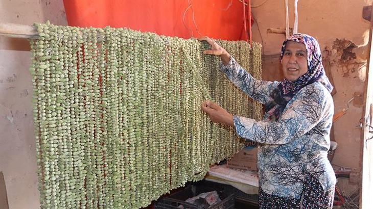 'Yeşil altın'ın kilosu 1000 liradan satılıyor