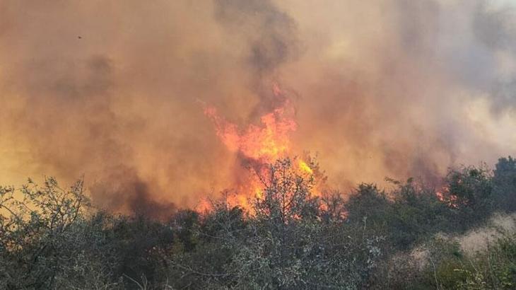 Çanakkale Gelibolu'da maki yangını ormana sıçradı