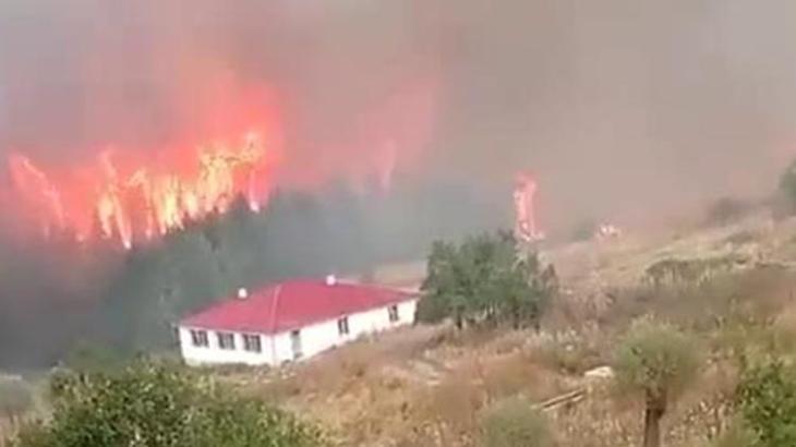 Adana, Bolu ve İzmir'de orman yangını