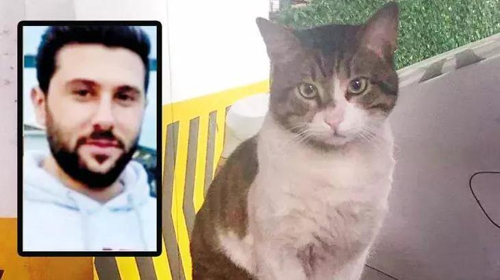 Türkiye bu vahşeti konuşuyor! Kedi Eros'un katili İbrahim Keloğlan tutuklandı