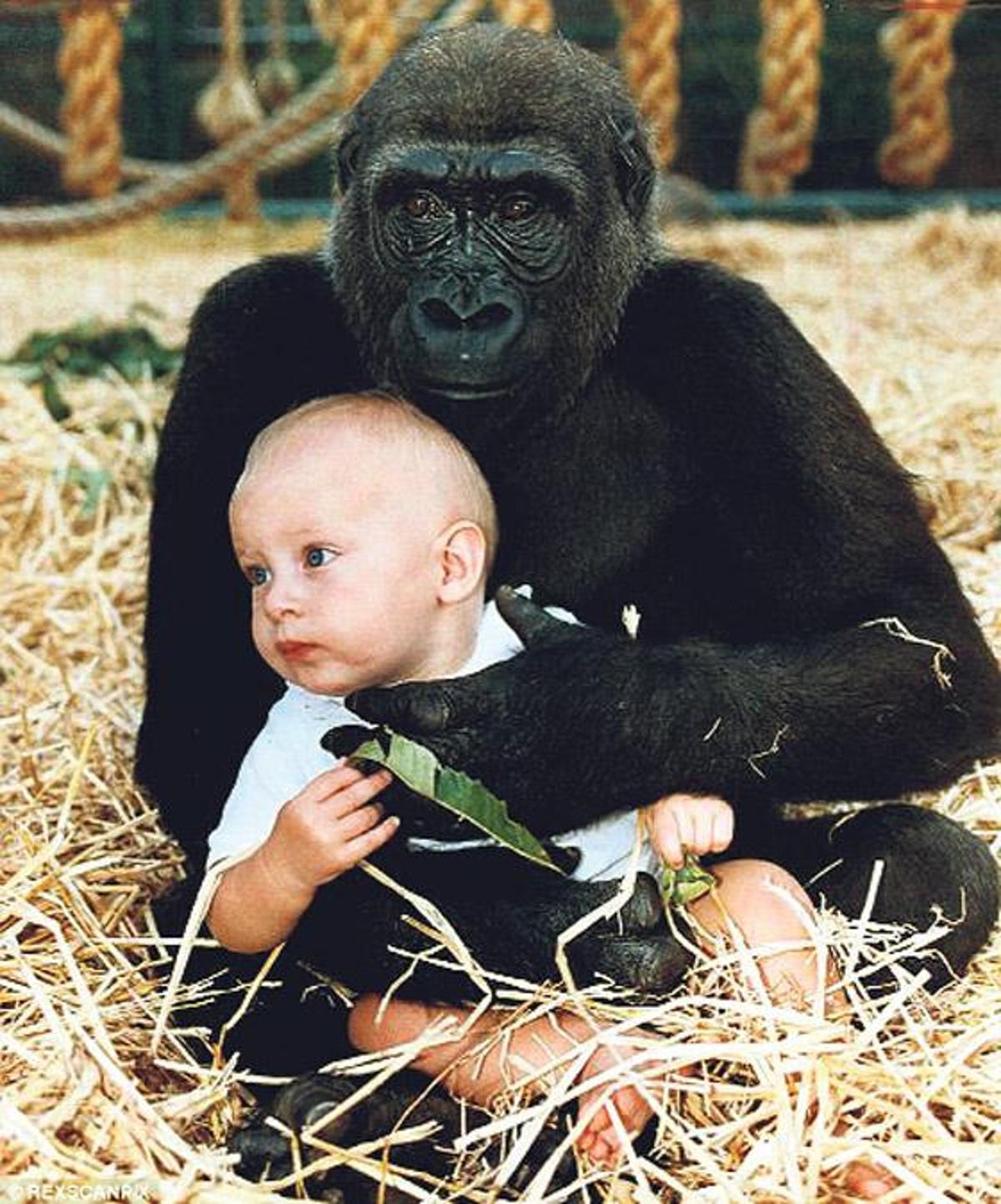 Как воспитать свою обезьяну. Животные заботятся. Обезьяна для детей. Обезьянка на руках. Мальчик обезьяна.