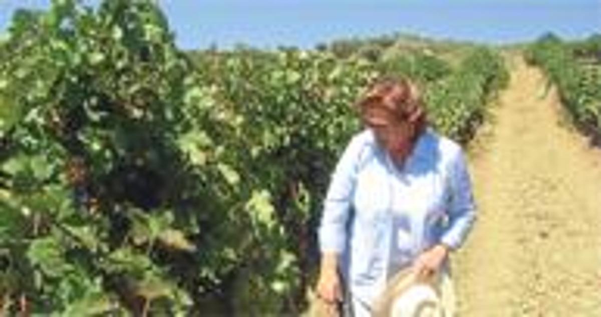 Güler Hanım için şarap, hobi olmaktan çıktı, butik Gülor 160 restoranın ...