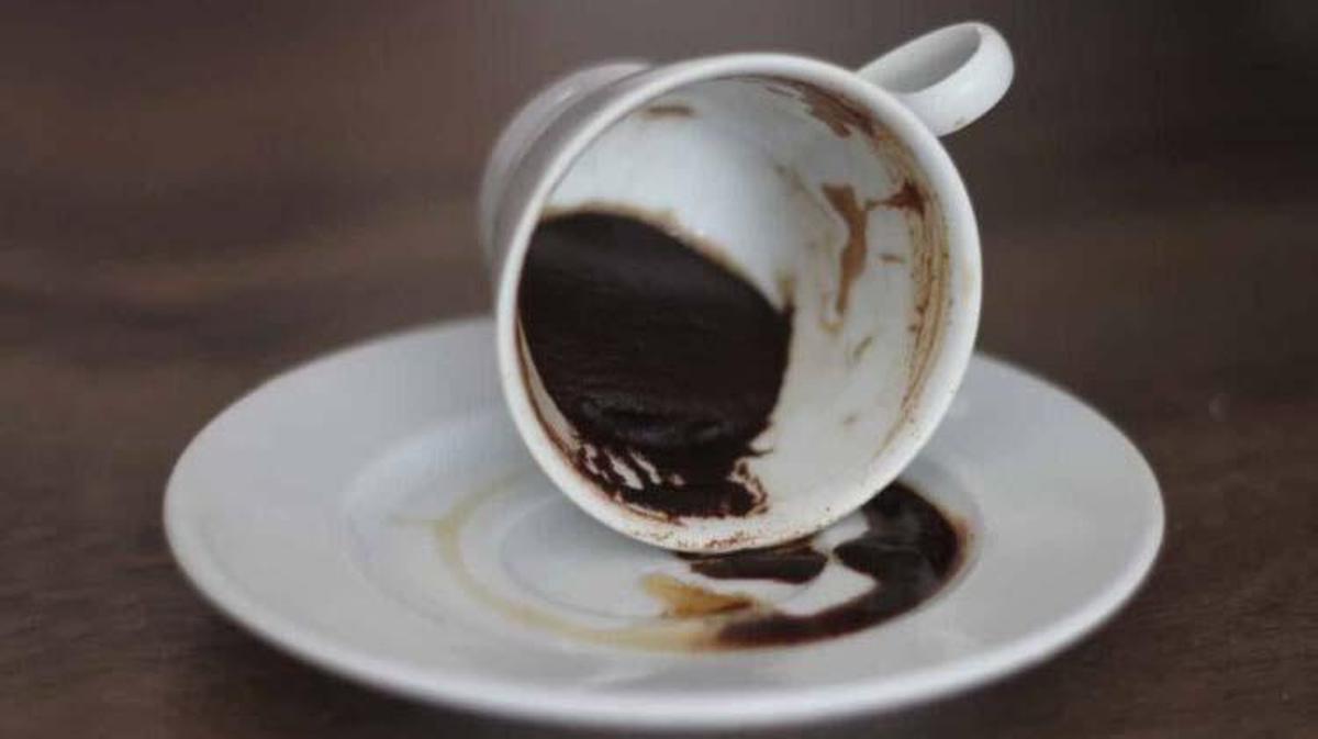 Falda Kaz Görmek Ne Demek? Kahve Falında Kaz Nasıl Yorumlanır? - Yaşam