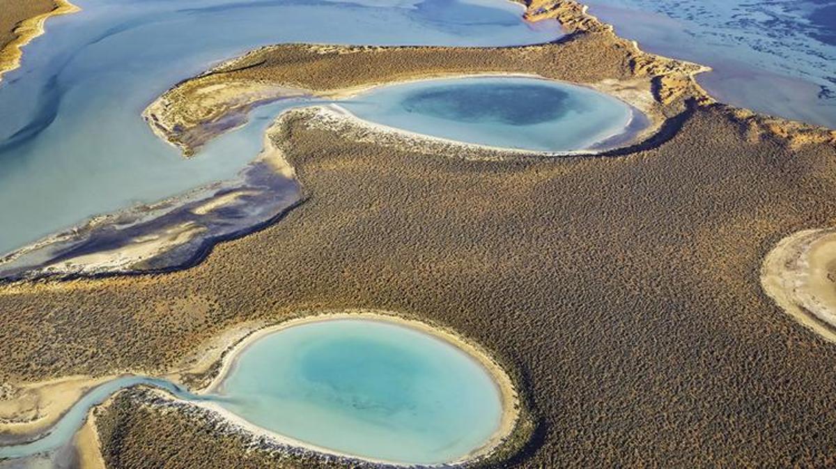 Adana'da bir doğa harikası: Yumurtalık Lagünü - Adana Haberleri