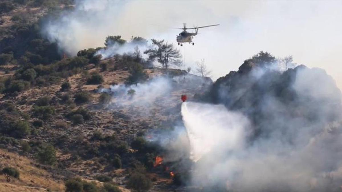 Yumaklı Minister: 47 fires began throughout the nation in the present day