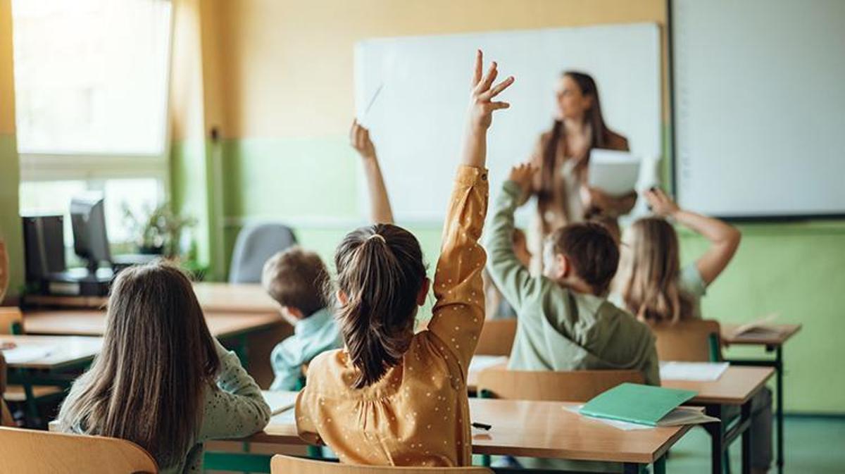 Classrooms in Chaos: Education Grinds to a Halt in Shocking State Shutdown