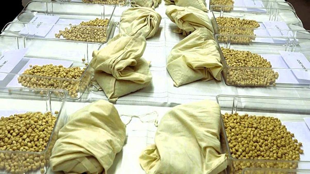 Nuclear Breakthrough: Game-Changing Solution Set to Revolutionize Production - News Directory 3