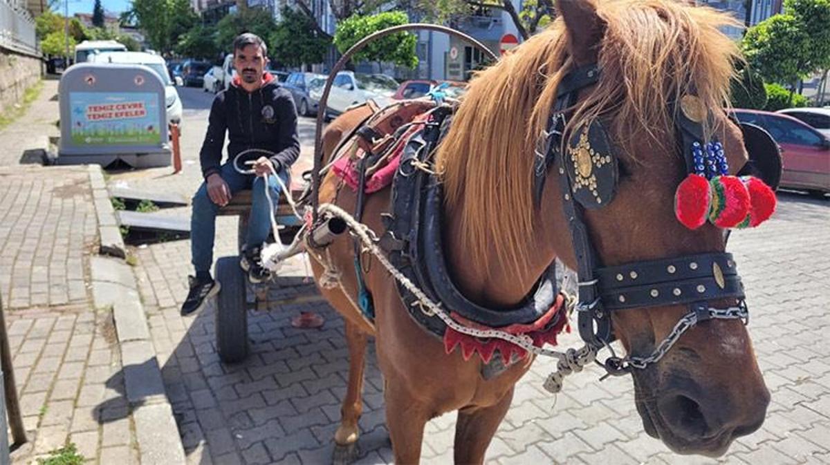 Aydın'da at arabacılığı yapan Engin Ekmekçi, atıyla birlikte