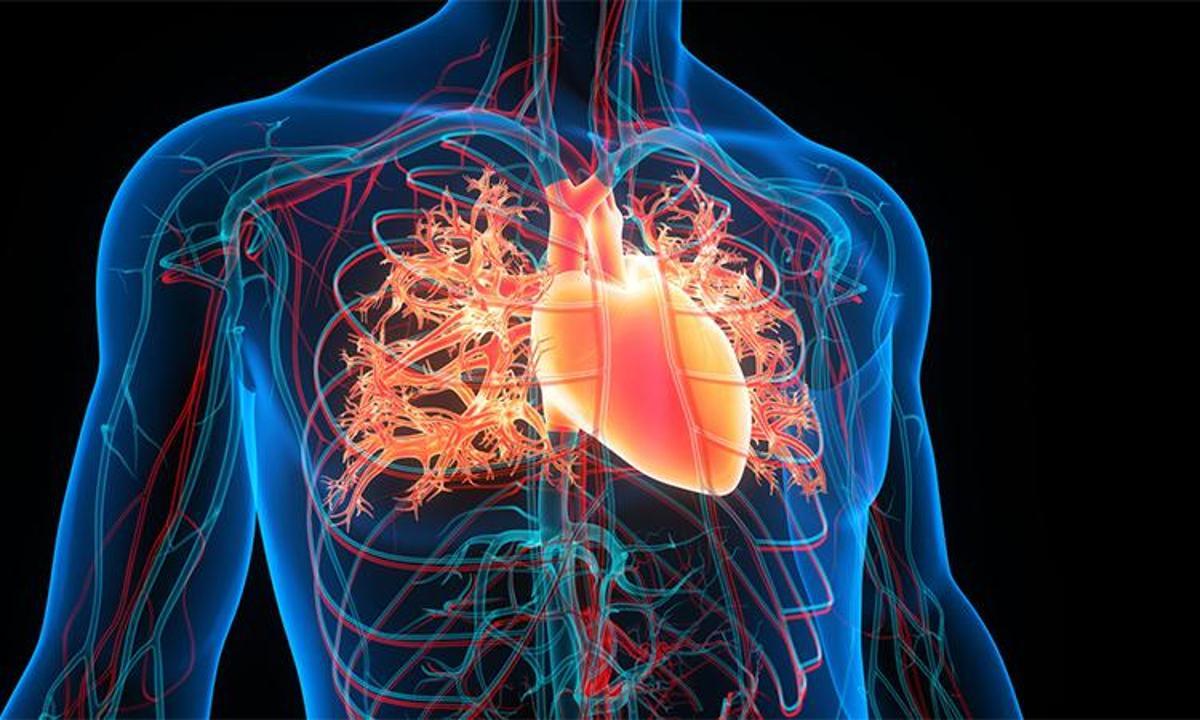 Türkiye'de Mitral Kapak Darlığı Neden Bu Kadar Sık Görülüyor? Risk Faktörleri ve Tedavi Yöntemleri