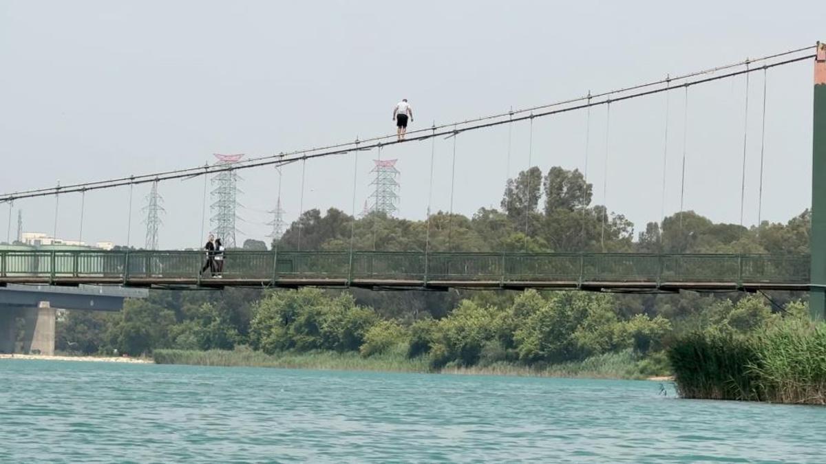 Adana'da Serinleme Çilesi: Gençler Köprüden Halatlara Tutunarak Tehlikeli Atlayışlar Yaptı!