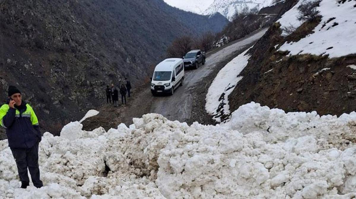 Van'da çığ düştü: Çatak'ta 1 mahalle ve 8 mezraya ulaşımı sağlanamıyor
