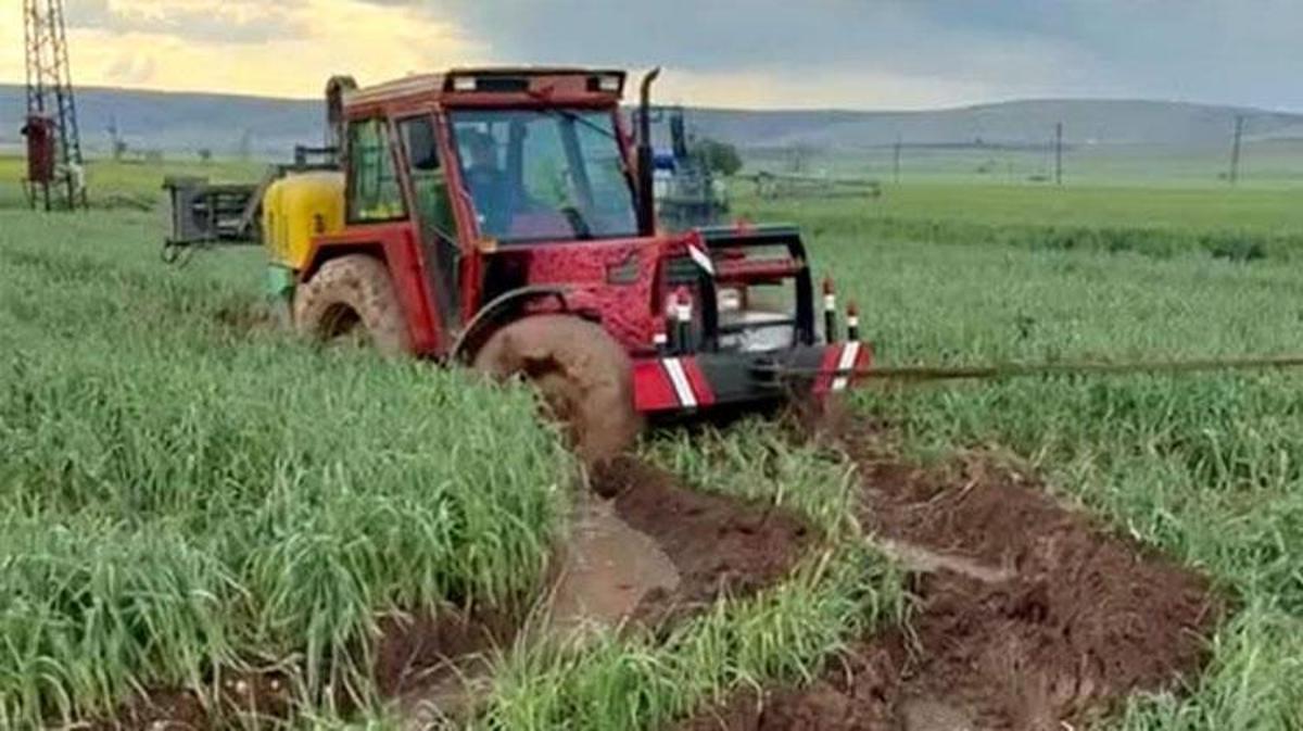 Gaziantep'te etkili olan yağışlar Araban Ovası’nda yeşil sarımsak hasadını geciktirdi