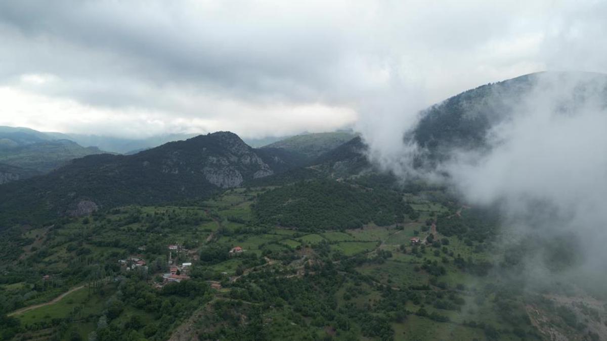 Amasya'da ormanlık alanlara giriş yasağı