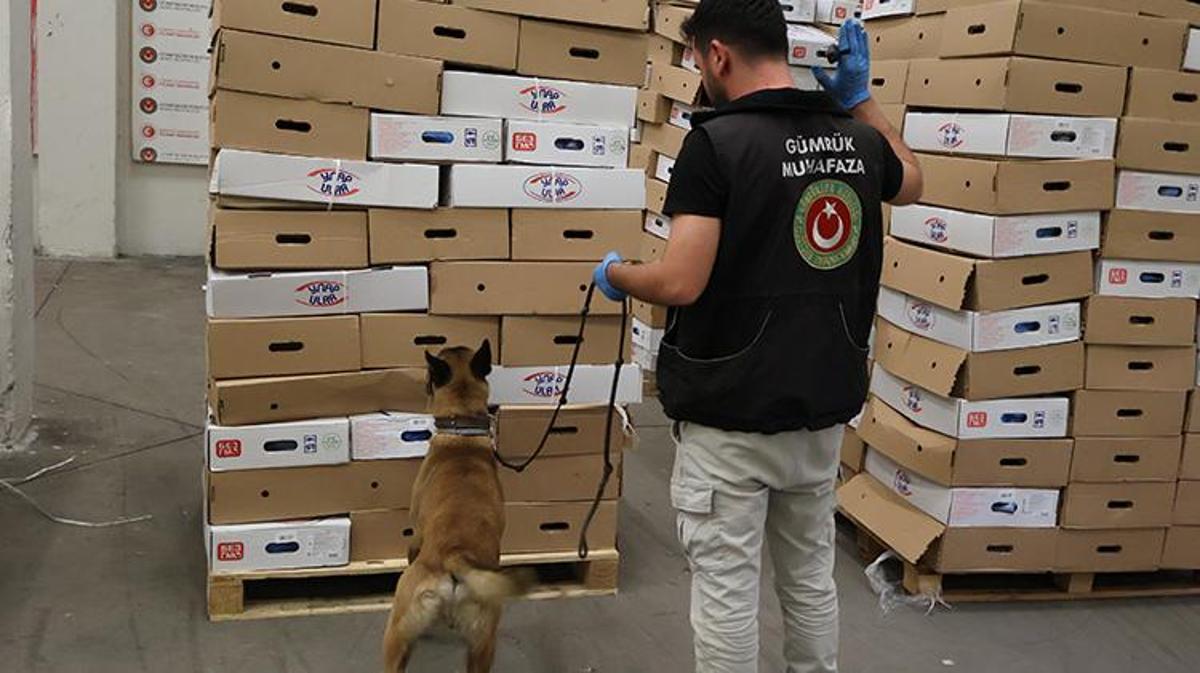 Kapıkule Gümrük Sahası'nda ele geçirilen uyuşturucu maddeler