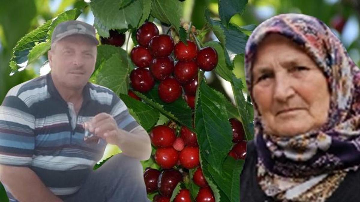 Tosya'da kiraz yedikten sonra zehirlenerek hayatını kaybeden çiftin hastanedeki tedavisi sırasında çekilmiş bir fotoğrafı.