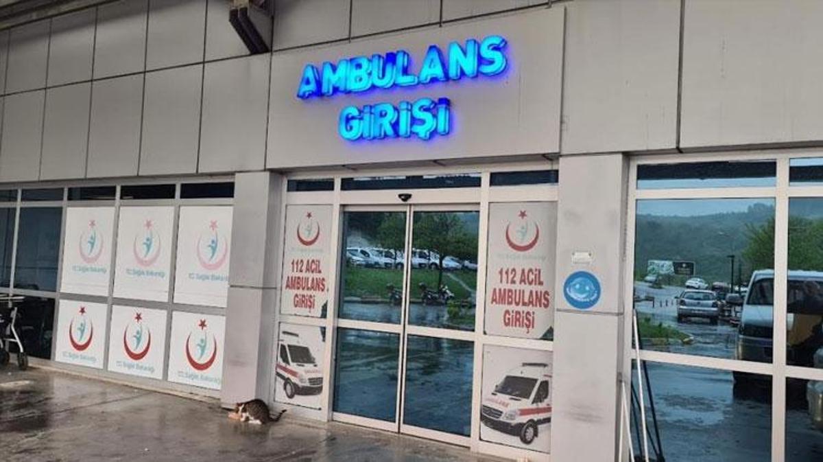 Eşek arısı tarafından sokulan ve alerjisi nedeniyle yoğun bakıma kaldırılan kadın